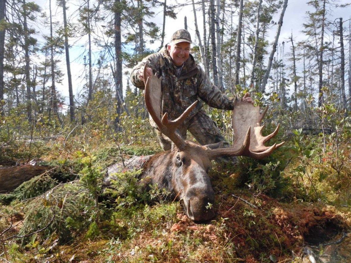 Hinterland Outfitters best moose hunting in Newfoundland